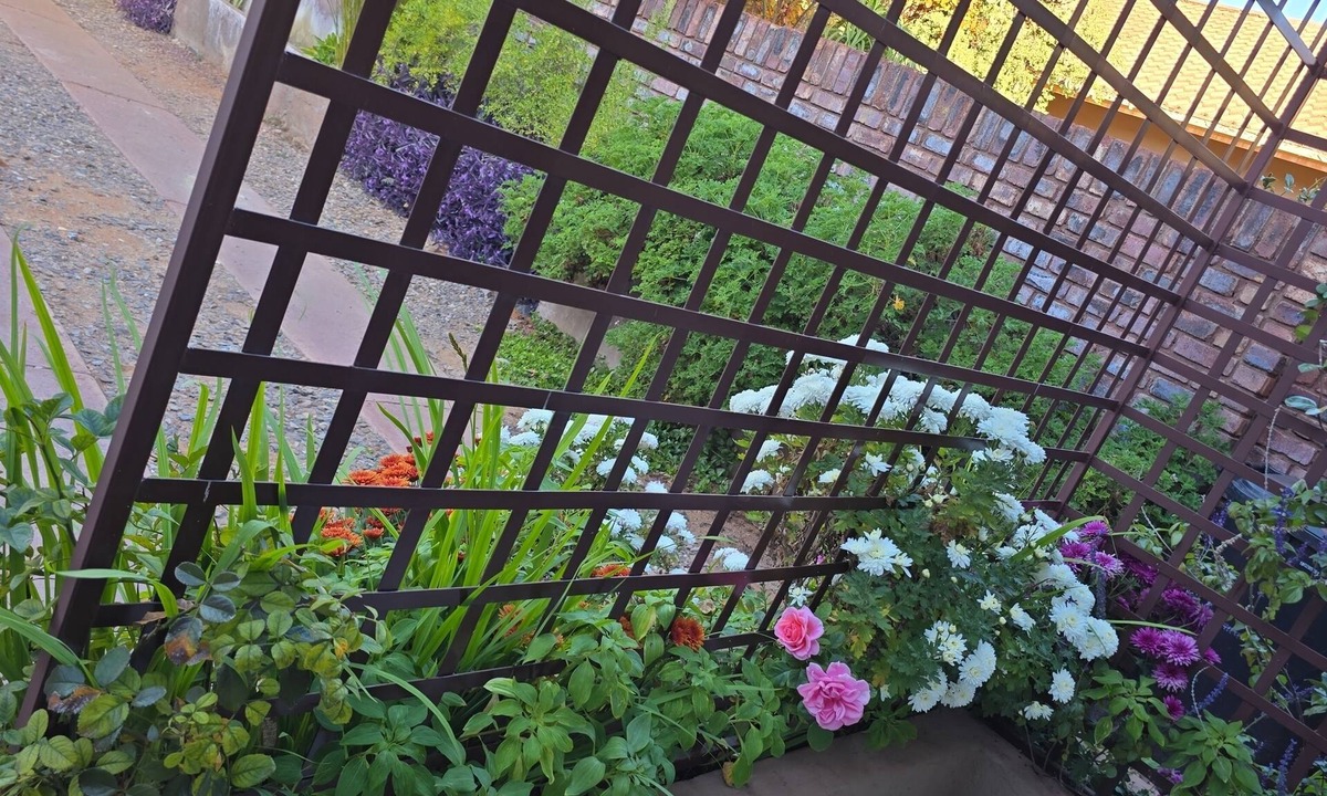 Kathu House | Flower Lane Guesthouse