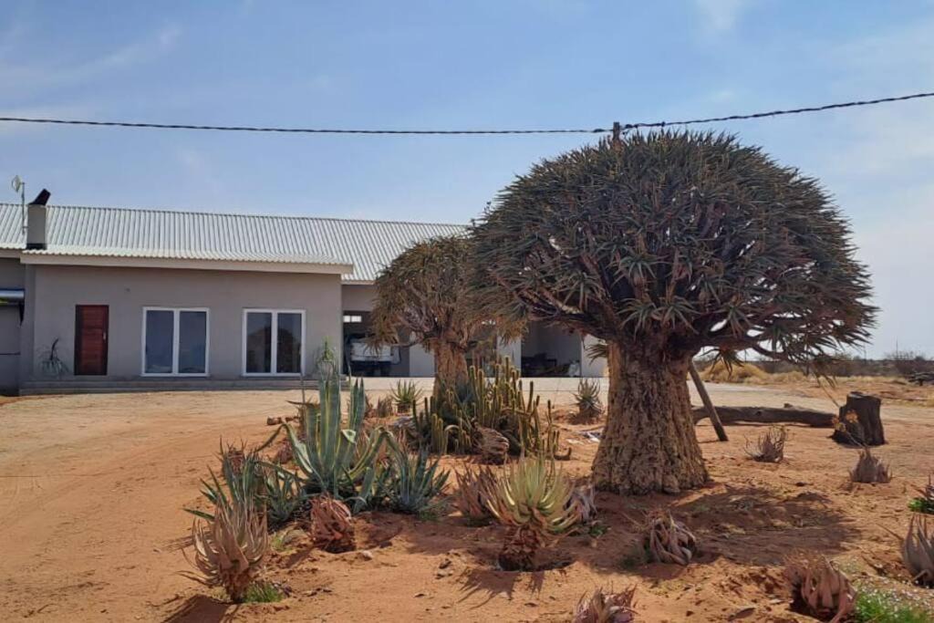 Kanoneiland House | Geelkop Plaashuis