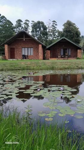 Makhado Bed & Breakfast | Harnham Mountain Lodge