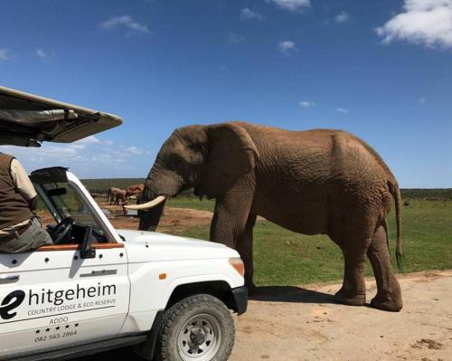 Hitgeheim Country Lodge Eco | Addo