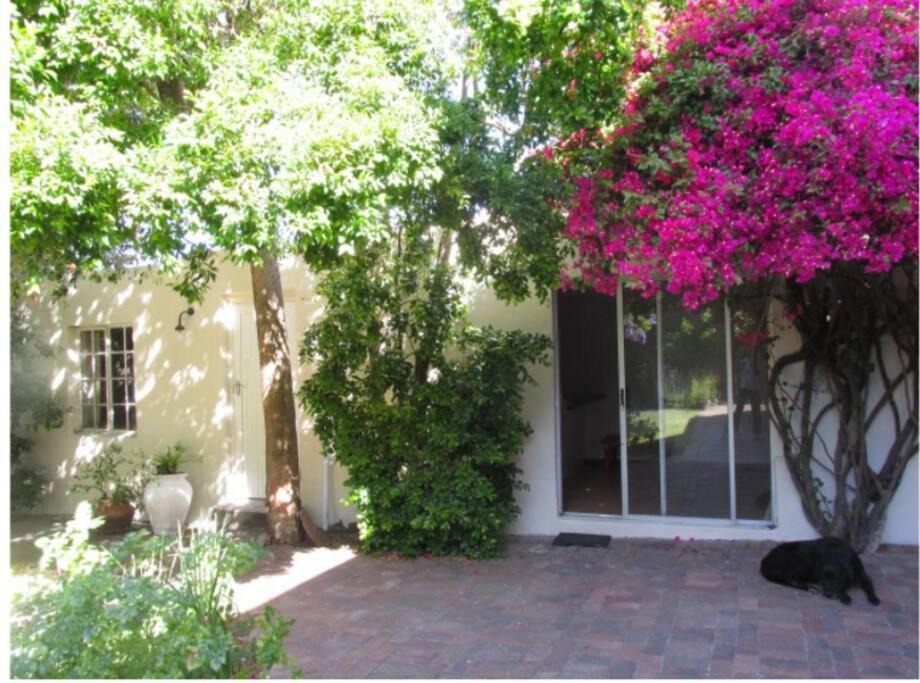 Pinelands Apartment | Home On Uitvlugt - Peaceful leafy garden flat with sunny lounge