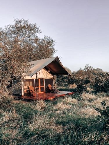 Thorny Bush Game Reserve Other | Honeyguide Tented Safari Camp - Khoka Moya