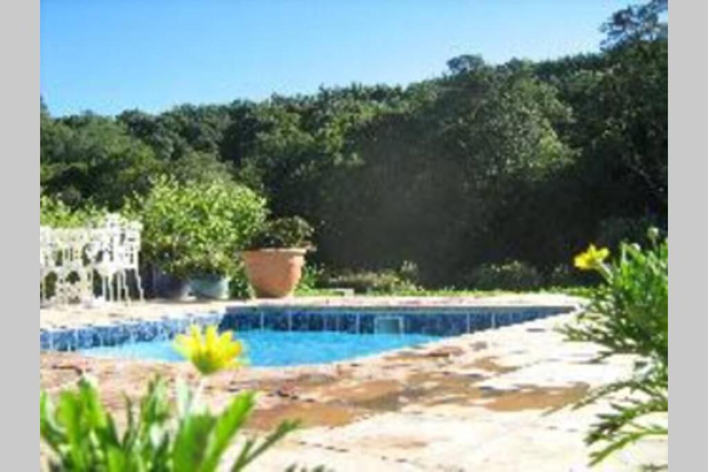 Amahlathi Apartment | Hornbills Forest Cottages