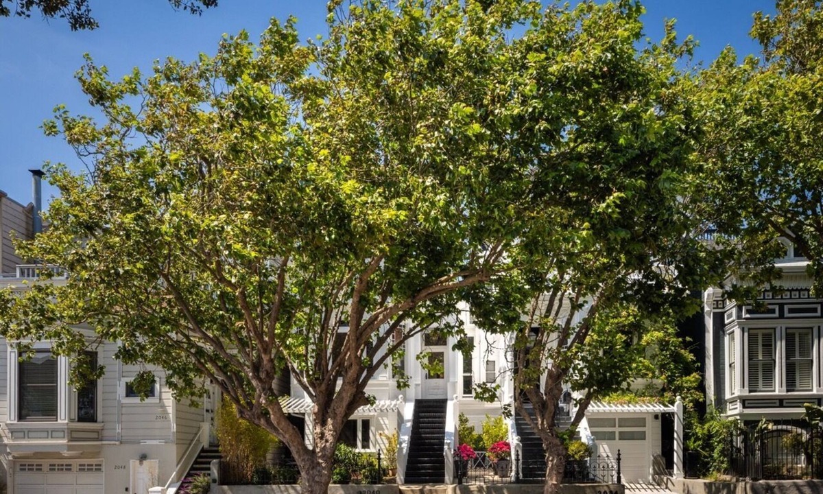 Anza Vista House | House Of Light