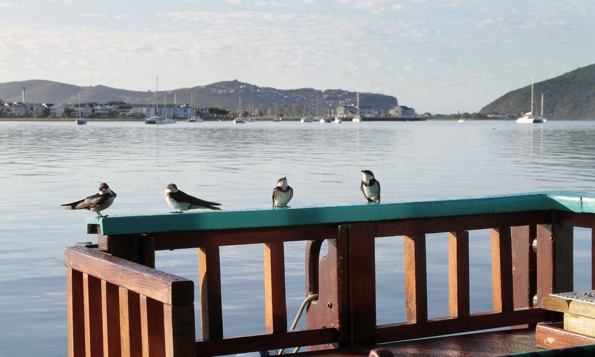 Knysna Boat Rental | Houseboat in Knysna, beautiful views,spacious, relaxing and in a unique location