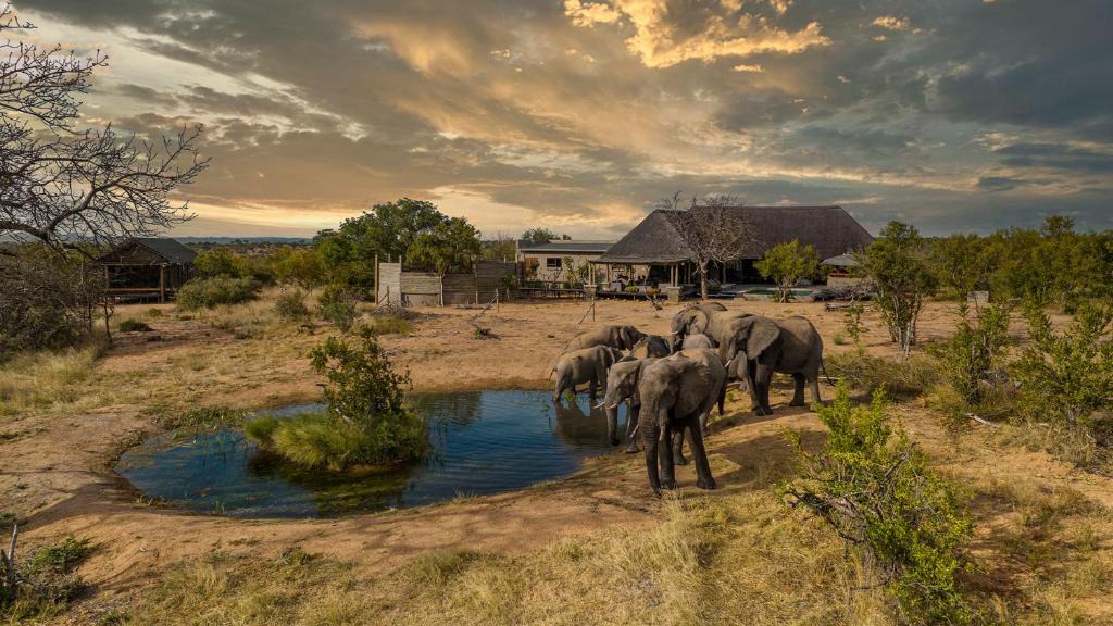 Hoedspruit Cabin | Imagine Africa Luxury Tented Camp