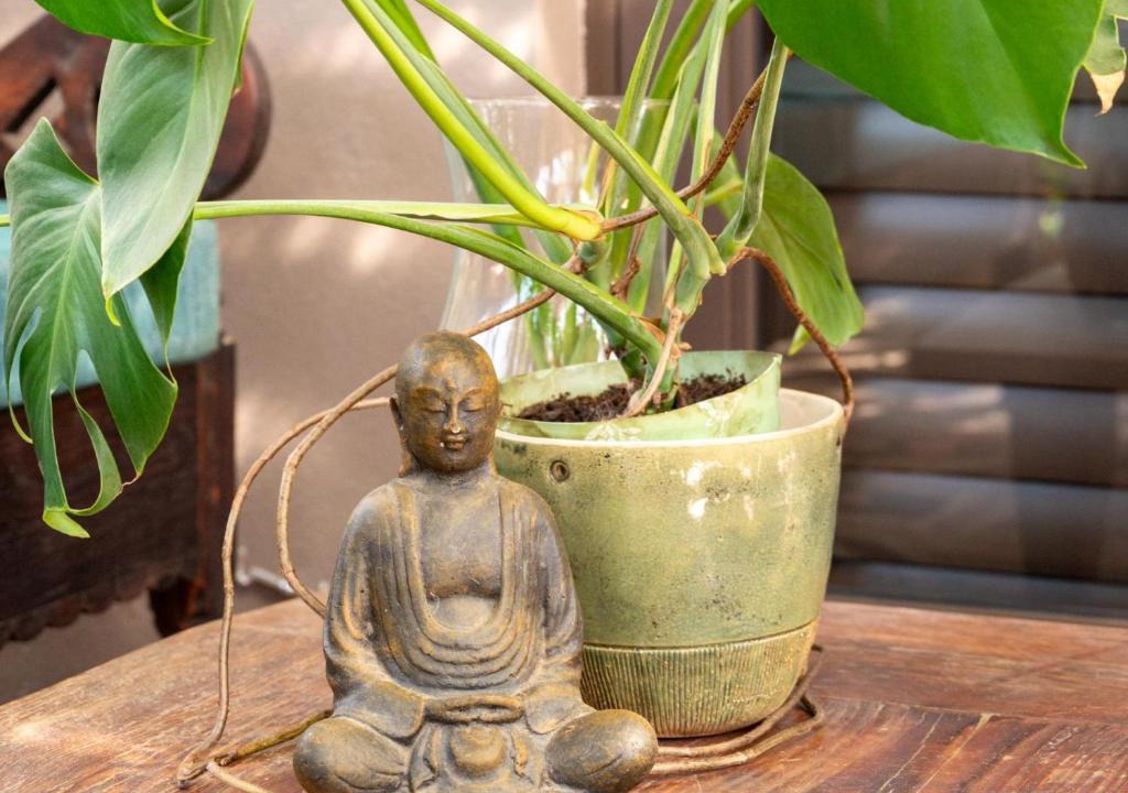 Barrydale House | Kamala Karoo Sanctuary