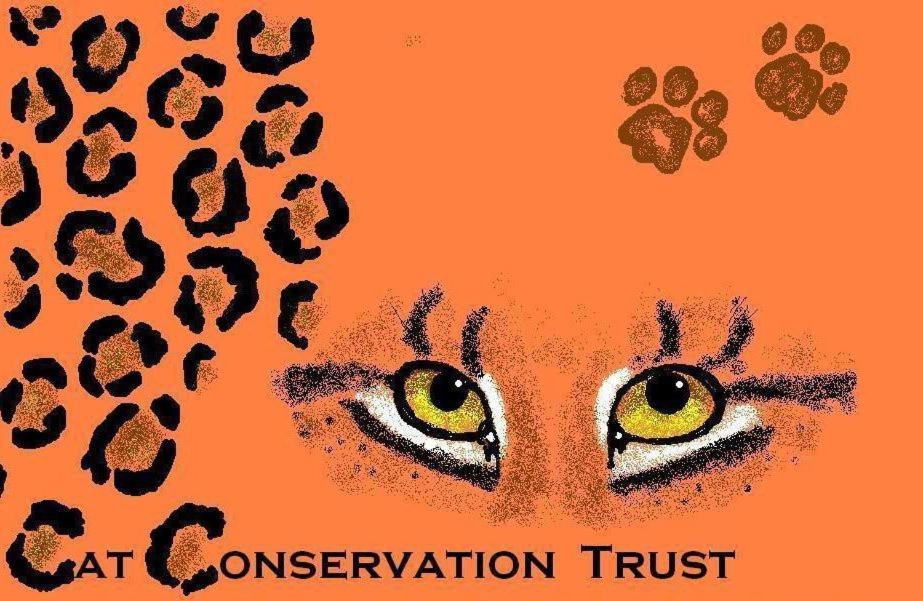 Inxuba Yethemba House | Karoo Pred-a-tours/Cat Conservation Trust