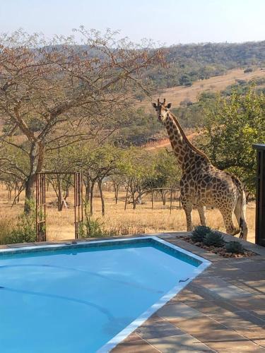 White River Cabin | Khululeka Safaris Lodge