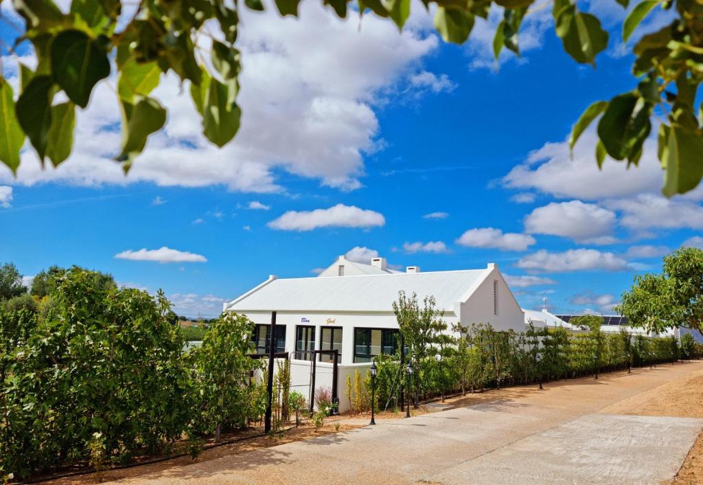 Langeberg House | Klawerjas