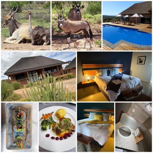 De Hoop Cabin | Klein Karoo Game Lodge