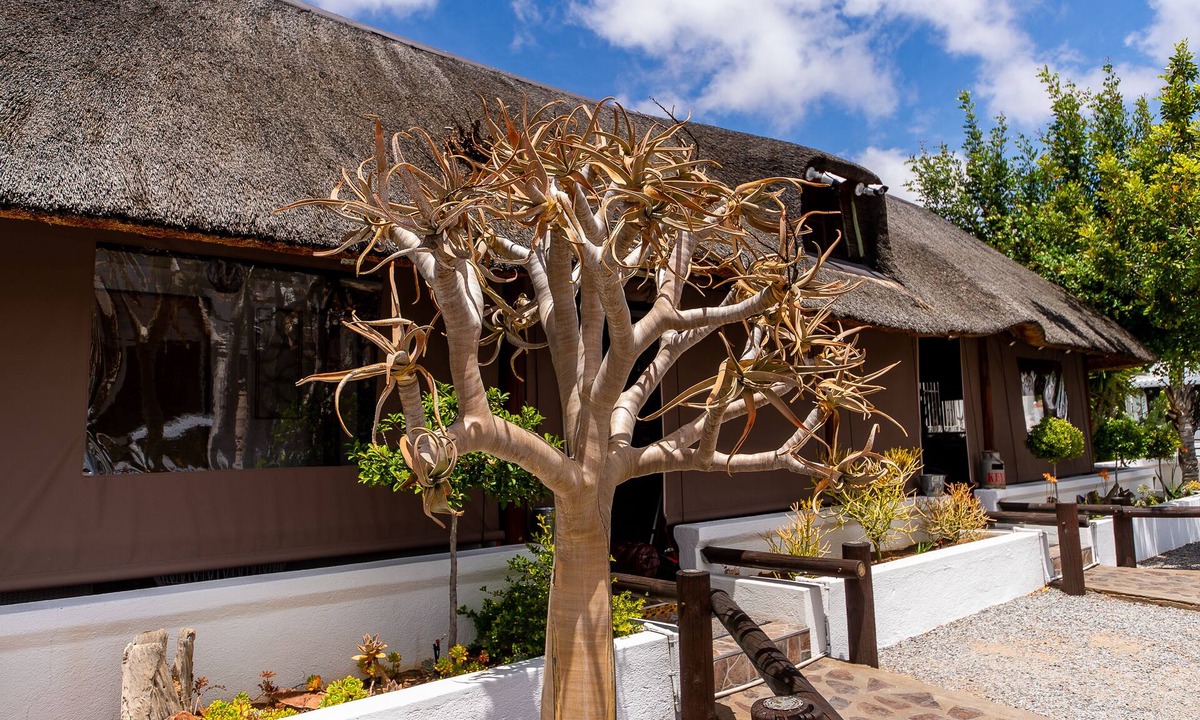 Springbok House | Kleinplasie Guesthouse