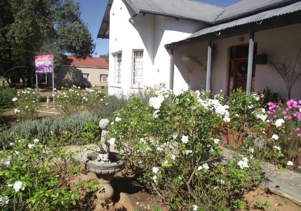 Bethulie Bed & Breakfast | Lavender Rose