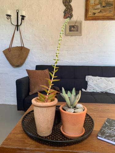 Tulbagh House | Le Florival