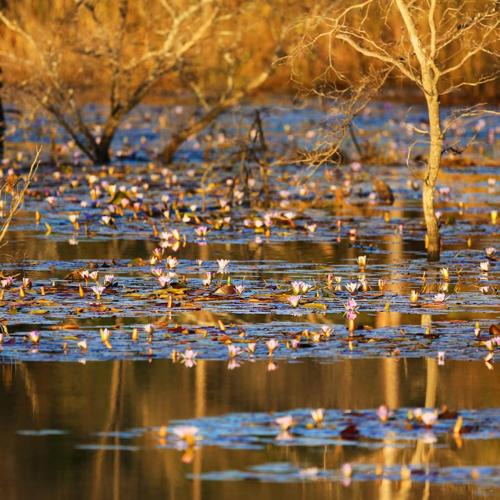Waterberg Other | Leopard Ranch - Luxury Tented Camp