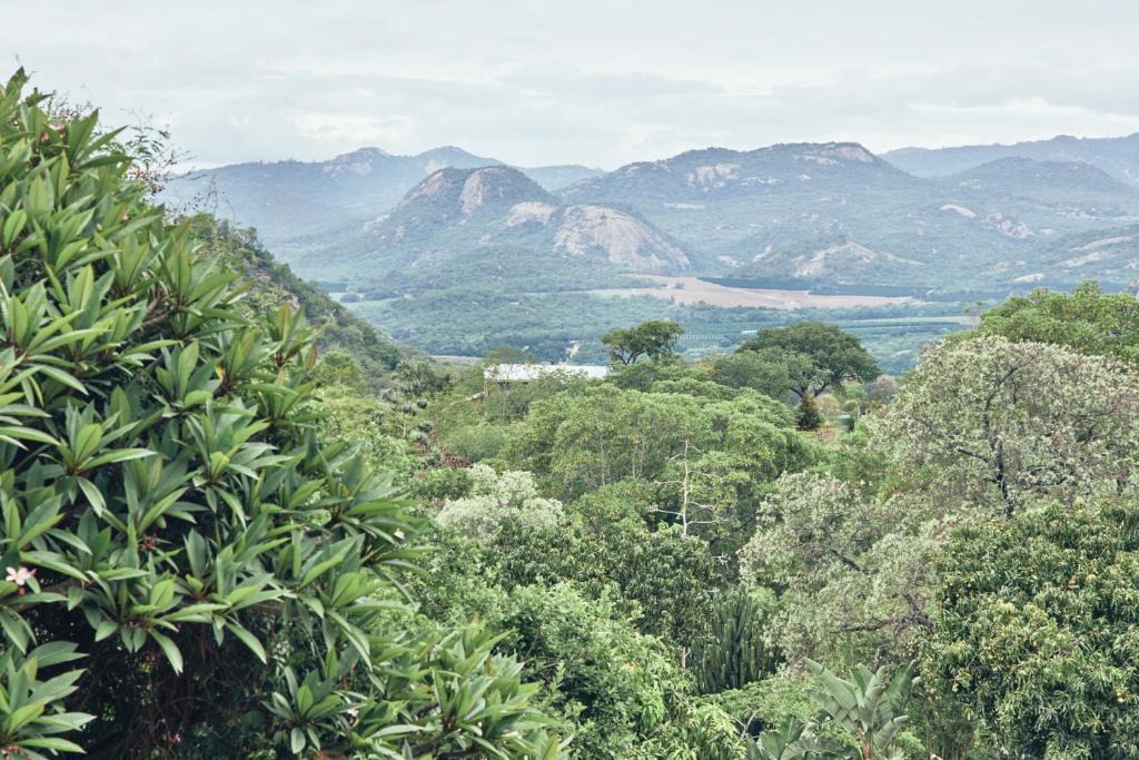 Nelspruit House | Leopard Tree Retreat