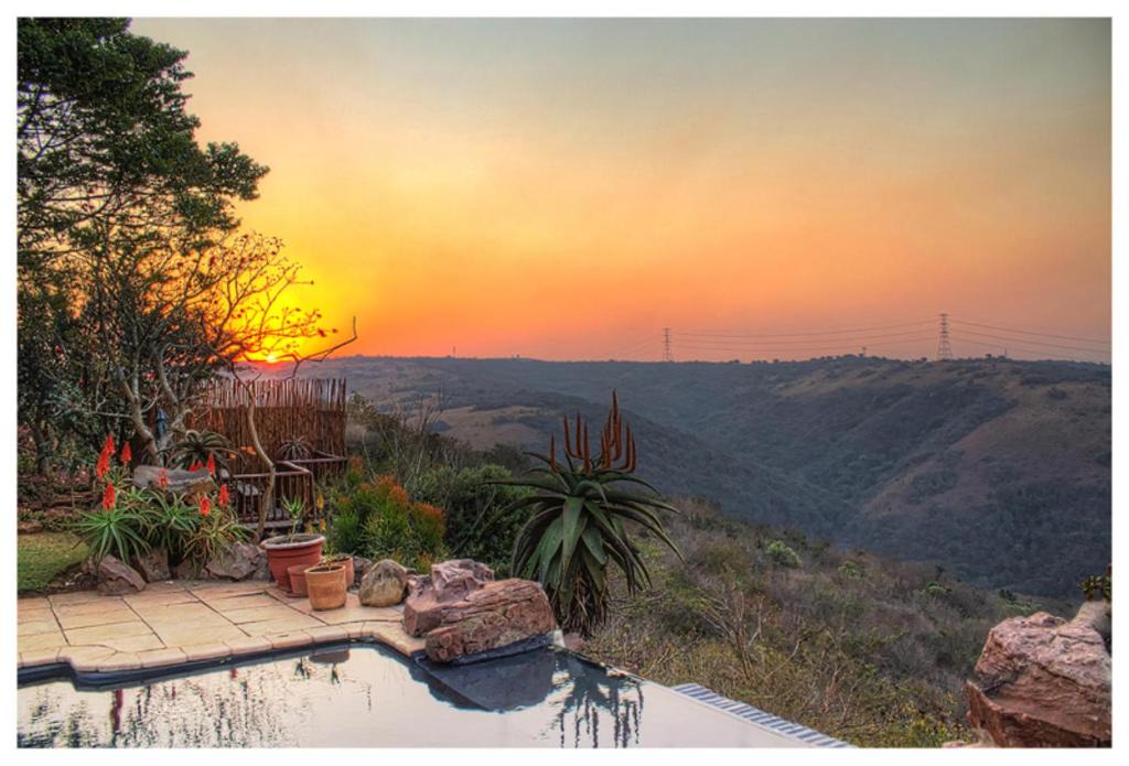 Camperdown Bed & Breakfast | Leopards and Louries Bush Lodge
