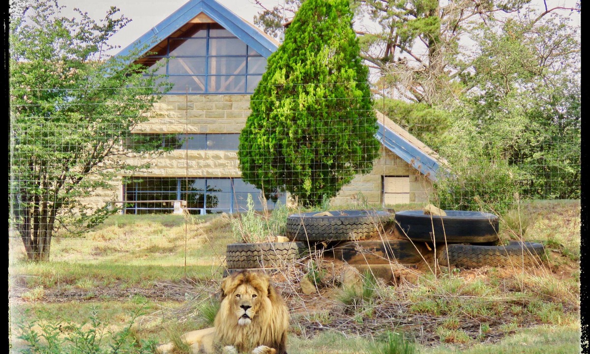 Harrismith House | Lion Lodge @ggconservation