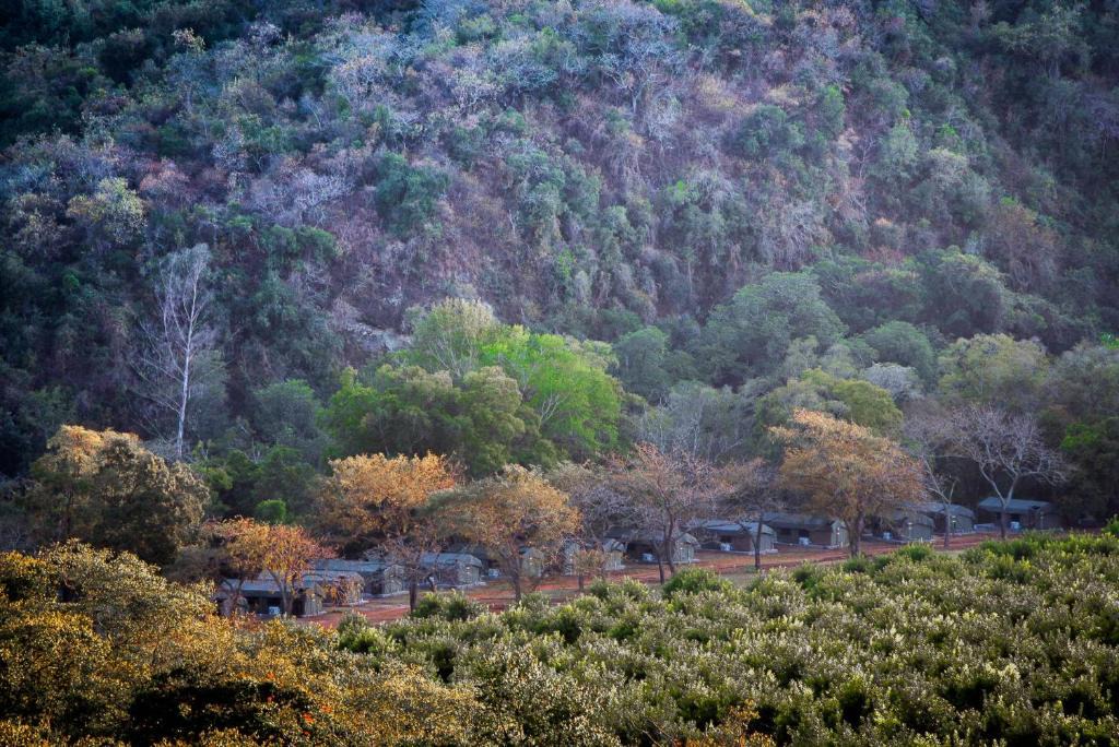 Hazyview Other | Lions Rock Rapids - Luxury Tented Camp