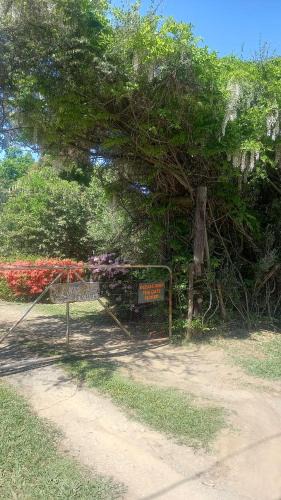Hogsback House | Liquid Amber