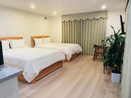 San Bruno House | Live Flight Radar Private Room Near SFO with Free Parking