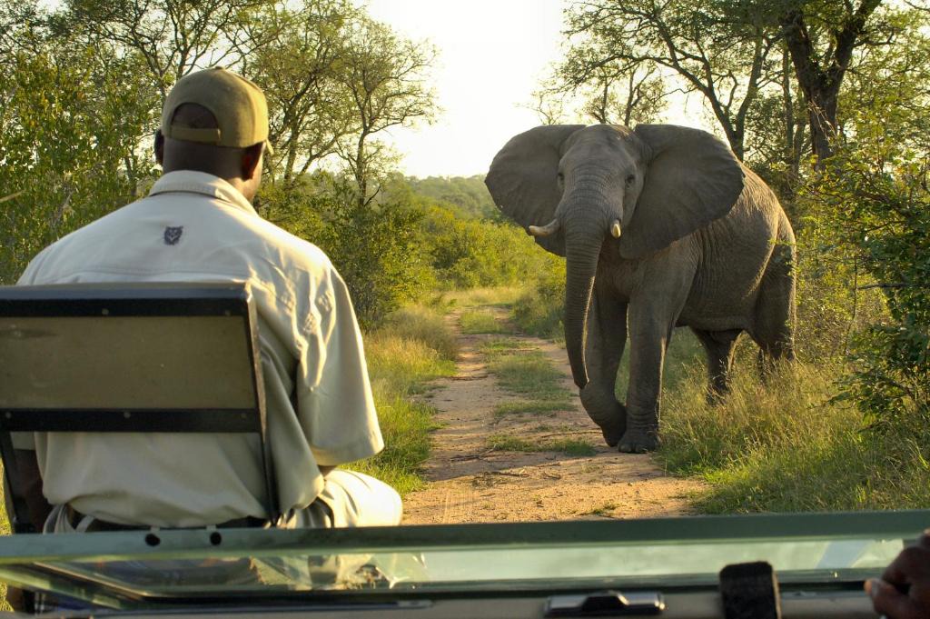 Buffelspruit Cabin | Lukimbi Safari Lodge