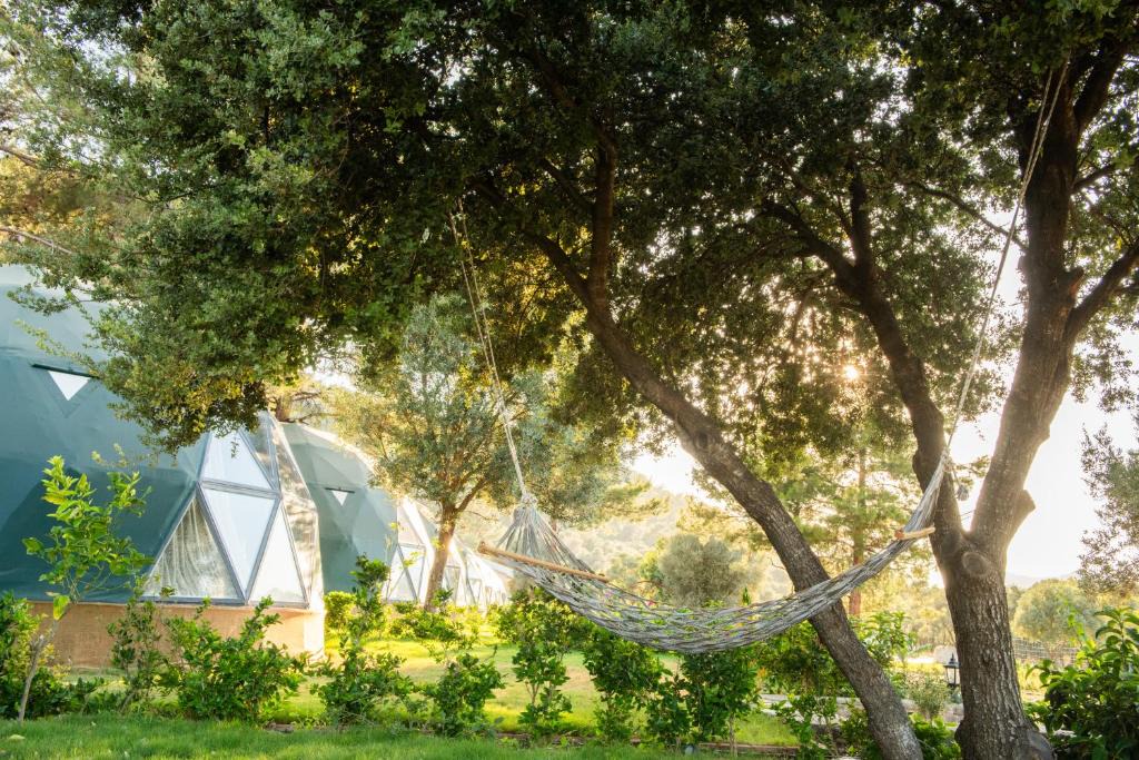 Golturkbuku Hotel | Lusso Glamping Bodrum