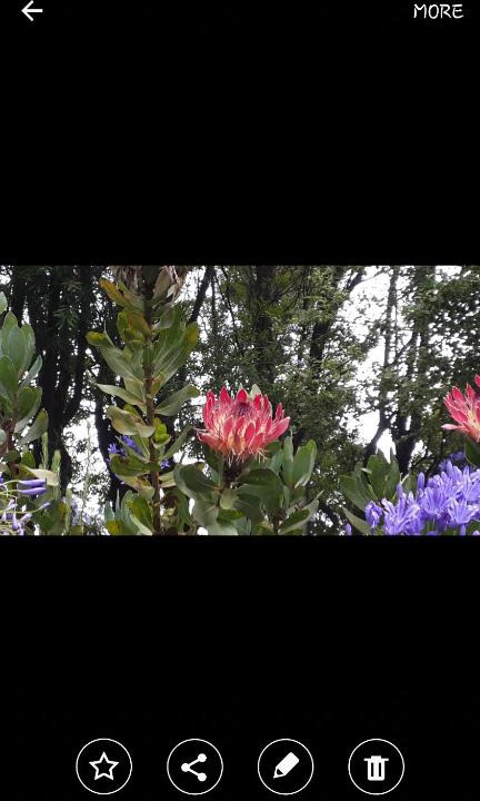 Ixopo House | Mac Nicol's Farm House B&B