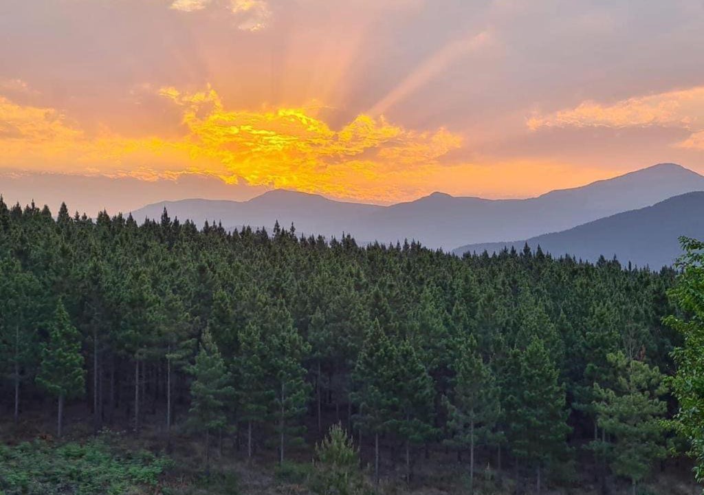 Sabie House | Majestic View Self Catering Guest House