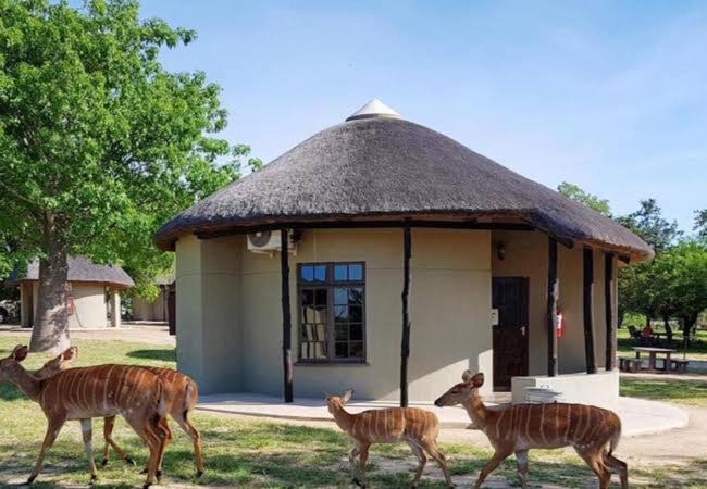 Kruger National Park Cabin | Manyeleti Big 5 Game Reserve