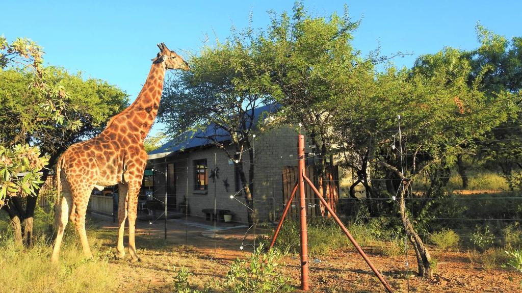 Hammanskraal Cabin | Marulani Bush Lodge