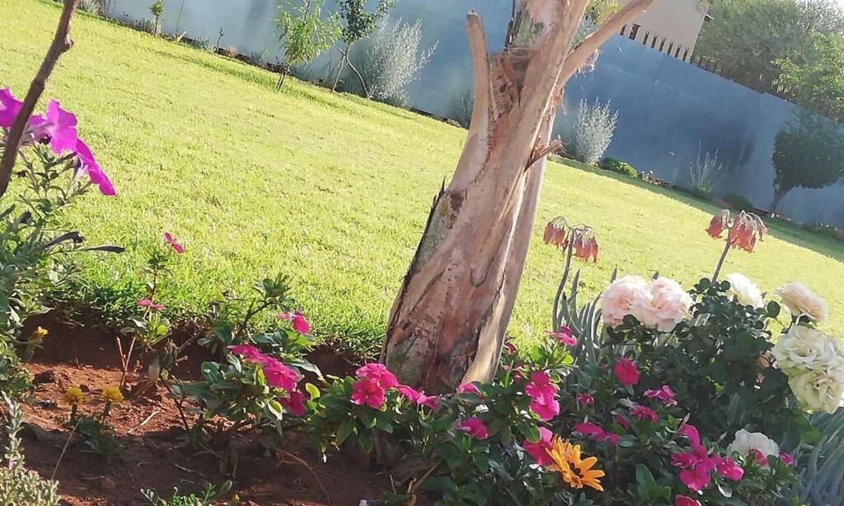 Rustenburg Bed & Breakfast | Masane Lodge