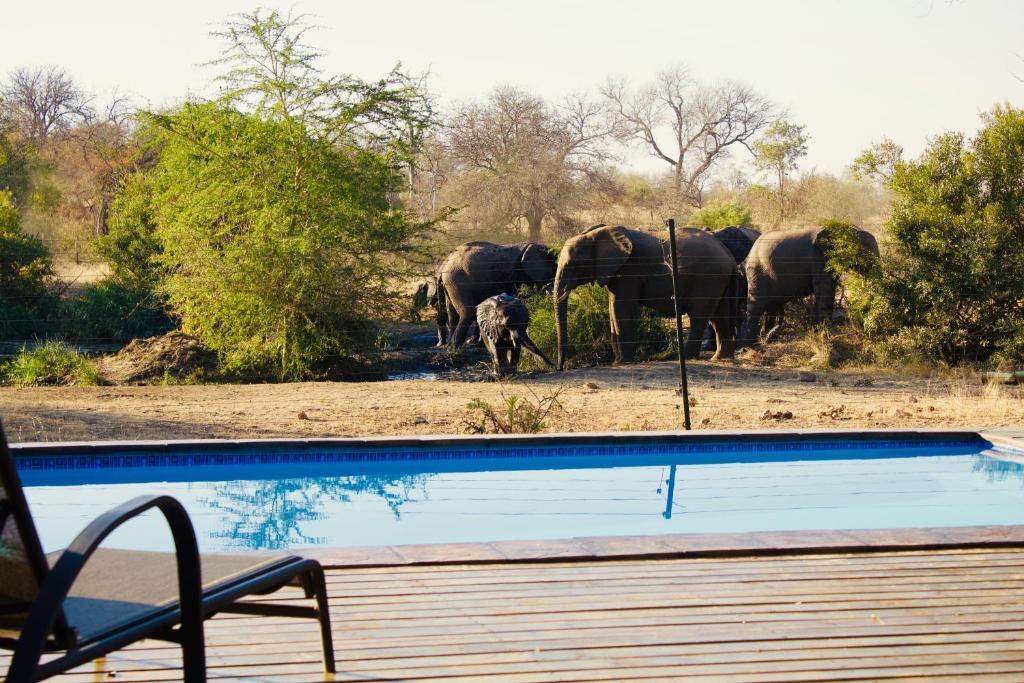 Maruleng Cabin | Masodini Game Lodge
