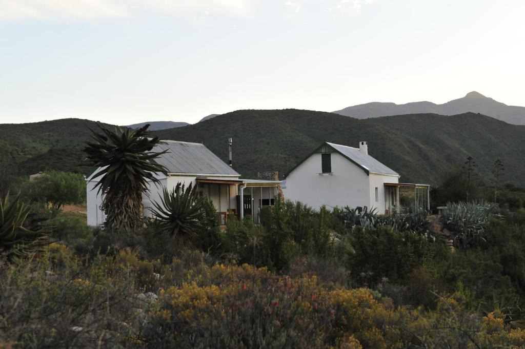 Calitzdorp House | Matjiesvlei Guestfarm