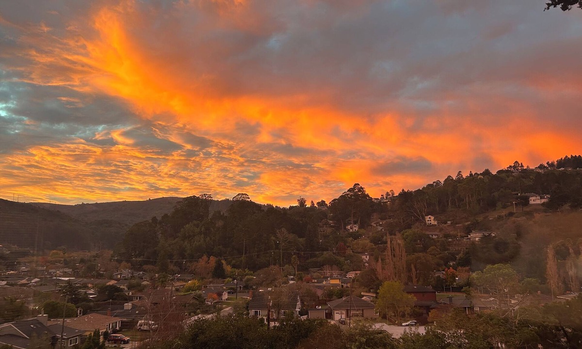 Tamalpais-Homestead Valley Apartment | Mill Valley: 15 Mins to SF, 10 Mins to Muir Woods
