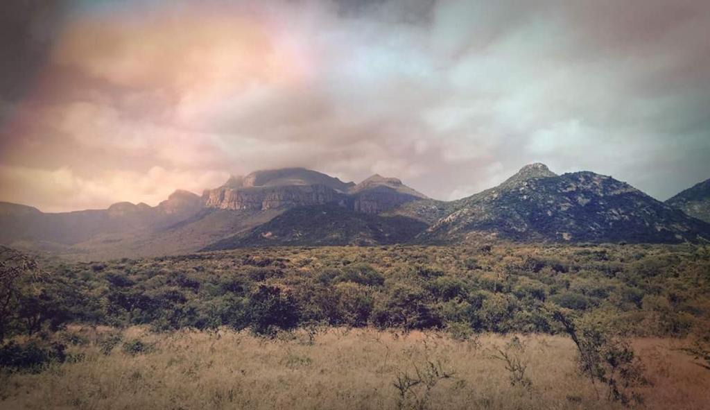 Hoedspruit Cabin | Moholoholo Mountain View