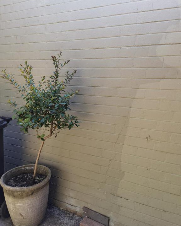 Greater Johannesburg Metropolitan Area Apartment | Morning rush