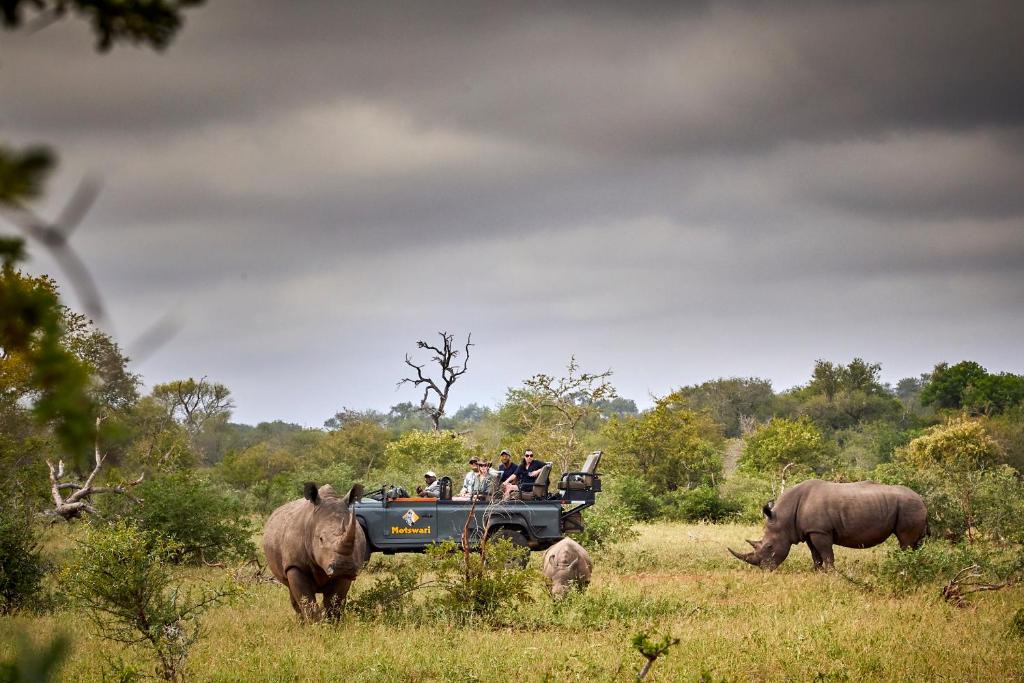 Kruger National Park Cabin | Motswari Private Game Reserve by NEWMARK