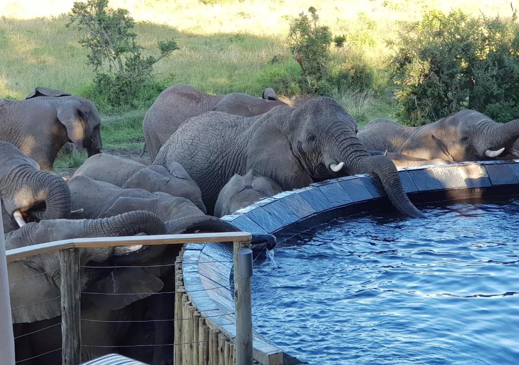Ladysmith Cabin | Nambiti Plains Lodge