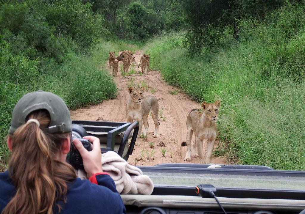 Phalaborwa Other | NDZUTI BUSH CAMP