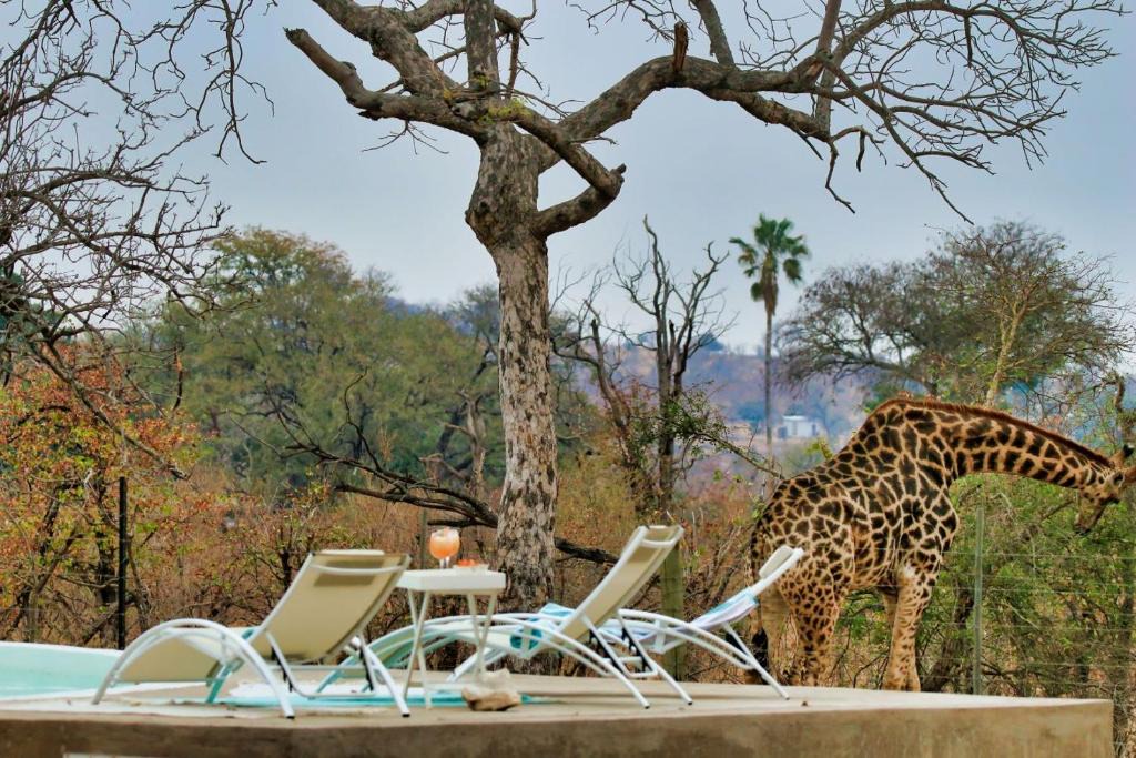 Phalaborwa House | Ngalali Retreat