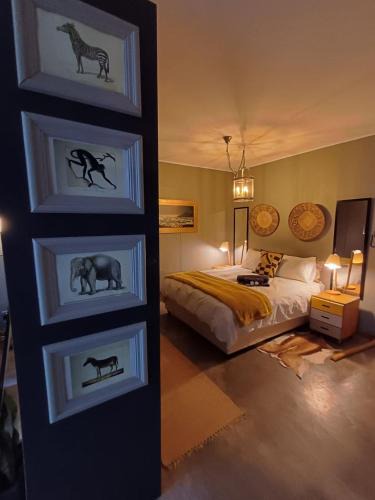 Trawal Apartment | No Load-Shedding Self-Catering City Studio Apartment - Keerom318