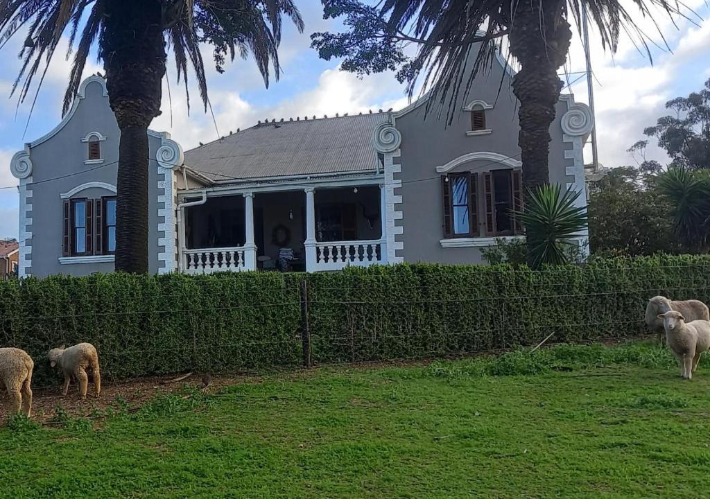 Moorreesburg House | Olive Tree Guesthouse