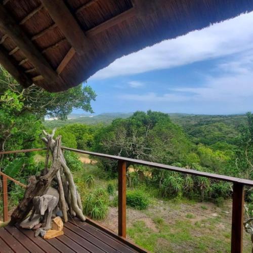 Oyster Bay House | Oysterbay Nature Retreat