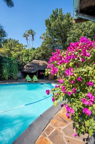 Selborne House | Palm Tree Manor