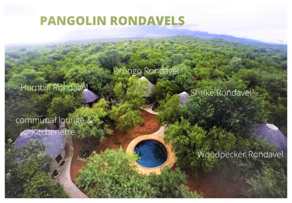 Maruleng Bed & Breakfast | Pangolin Rondavels - Shikwari Nature Reserve