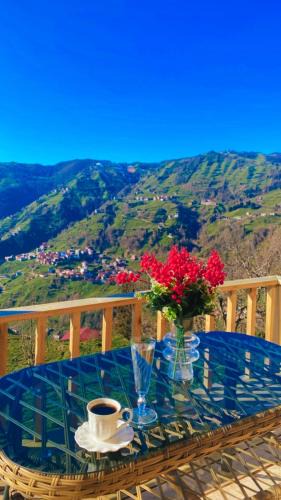 Cayirduzu Ski Chalet | Parla Dağ Evi