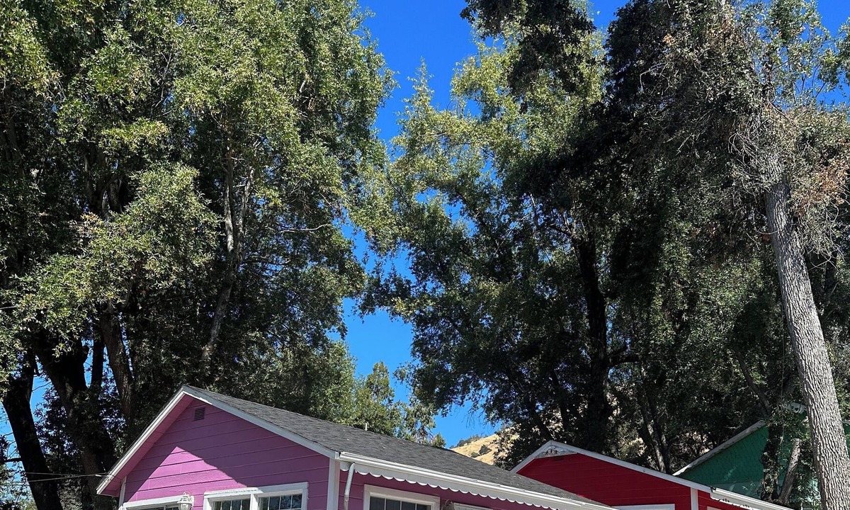 Nice Cabin | Peaceful & Cozy lakeside cottage w/ free parking