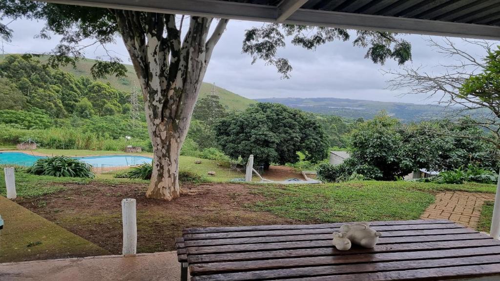 Drummond Hostel | Peacevale Backpackers