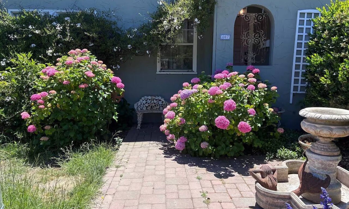 Petaluma House | Perfect 3 bedroom house with AC in awesome Petaluma neighborhood near downtown